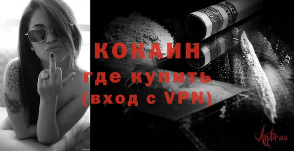 ГАЛЛЮЦИНОГЕННЫЕ ГРИБЫ Бородино