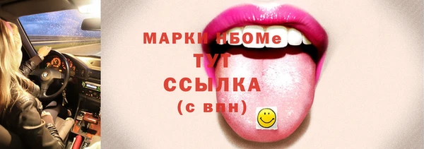 индика Бугульма