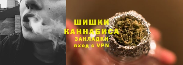 индика Бугульма