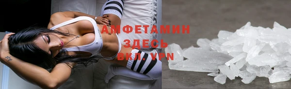 ГАЛЛЮЦИНОГЕННЫЕ ГРИБЫ Бородино