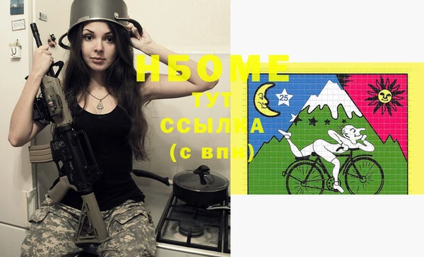 ГАЛЛЮЦИНОГЕННЫЕ ГРИБЫ Бородино