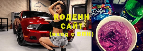 индика Бугульма