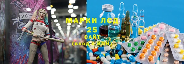индика Бугульма