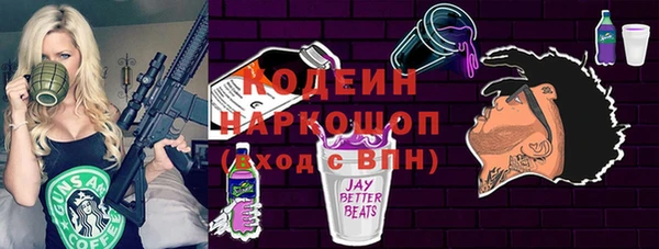 ГАЛЛЮЦИНОГЕННЫЕ ГРИБЫ Бородино