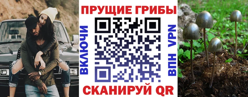 Псилоцибиновые грибы Magic Shrooms  Самара 